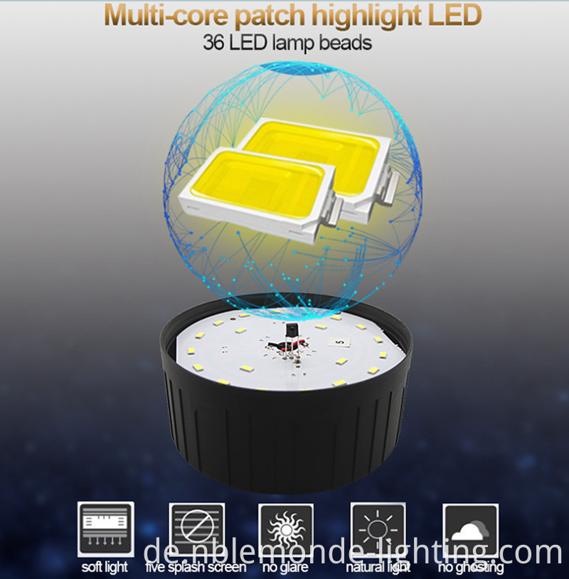 LED Portable Light